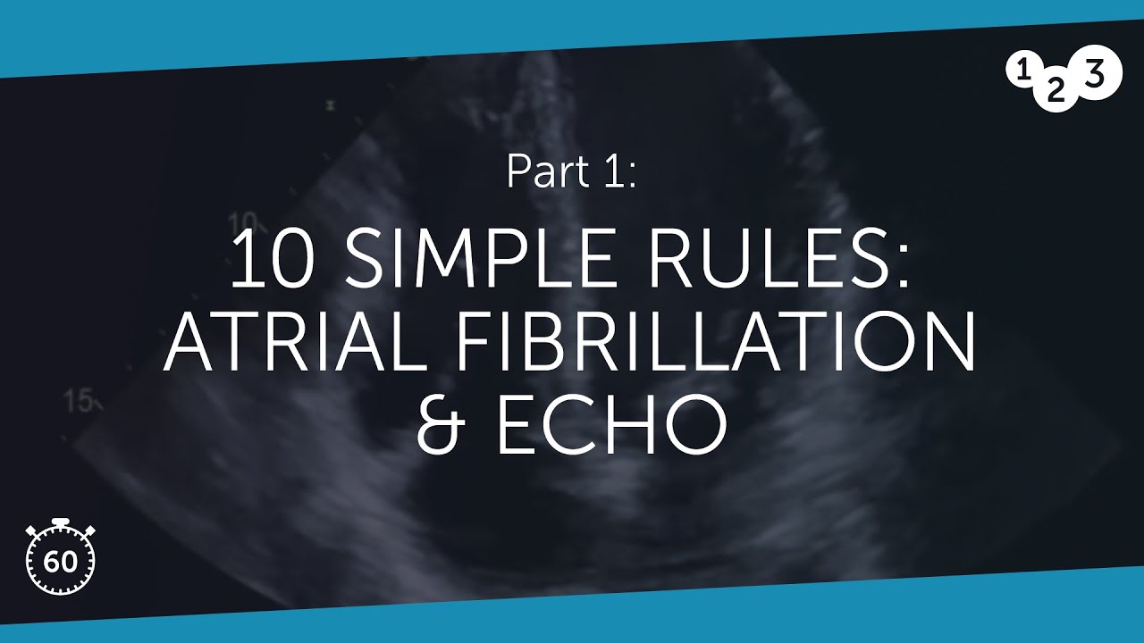 60 Seconds of Echo Teaching: Atrial fibrillation & echo 10 simple rules (Part 1)