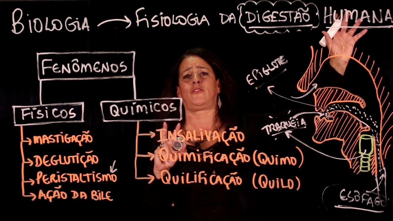 Aula 98 FISIOLOGIA ANIMAL Digestão parte 3 Fenômenos Físicos e Químicos - Aulas ENEM