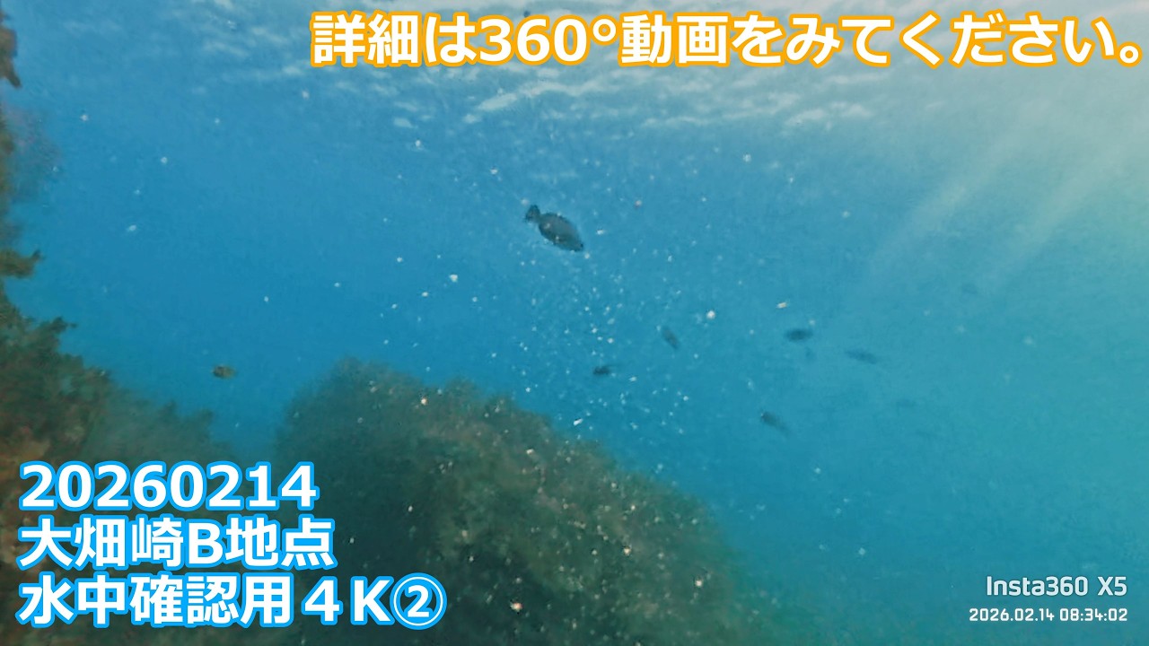 20260214X5②大畑崎B地点360°水中撮影(07:56:51～09:38:43)チャプター付き