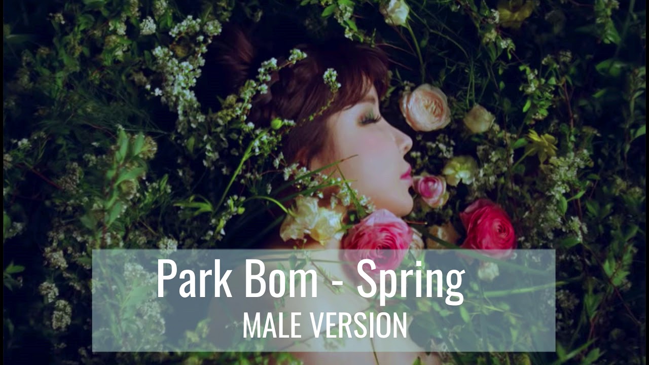 Park Bom - Spring  | MALE VERSION