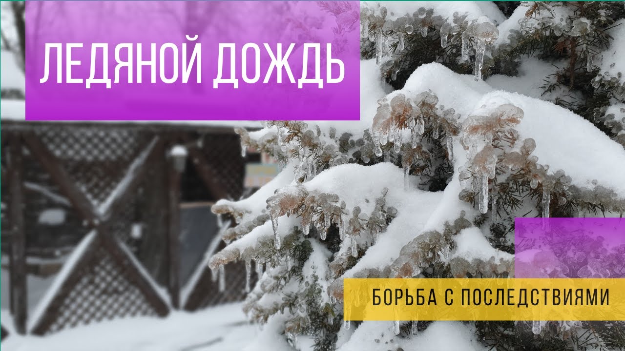 Ледяной дождь. Борьба с последствиями.