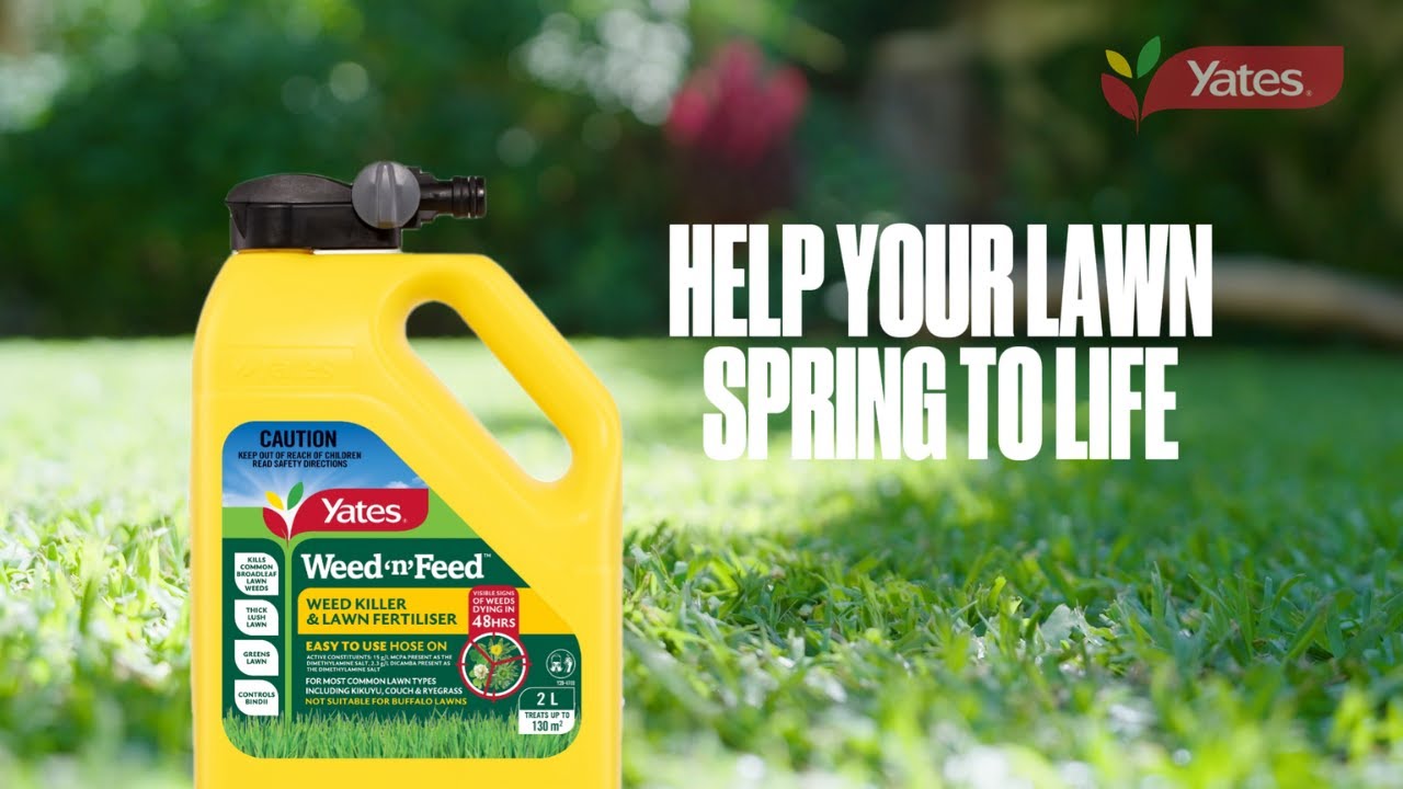 Control Weeds and Fertilise Your Lawn With Yates Weed&lsquo;n&rsquo;Feed