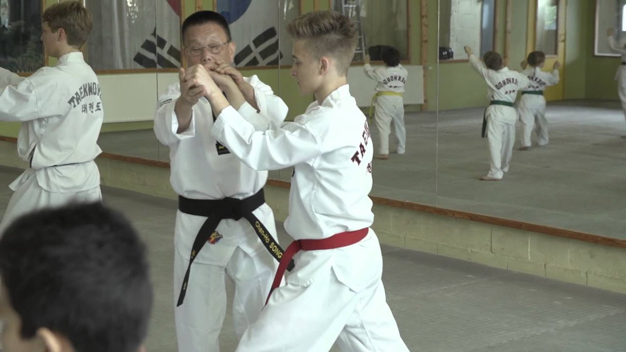 Taekwondo Schule Song