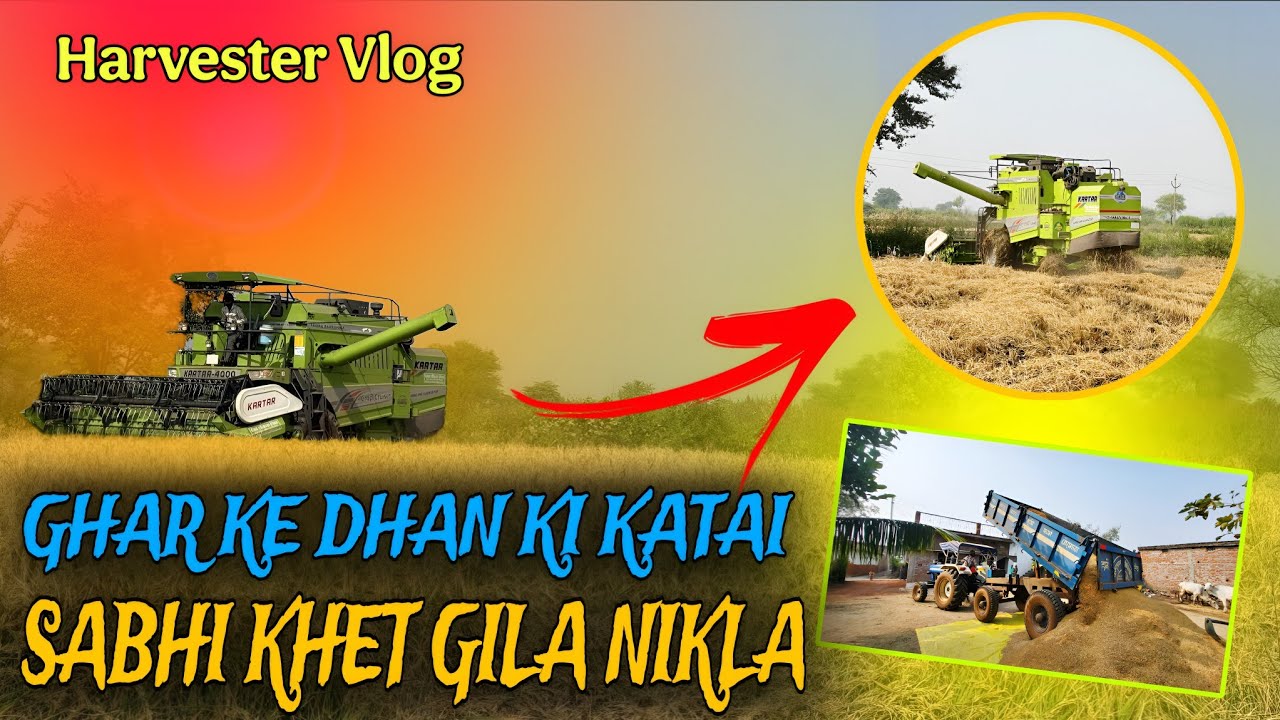 Gila Khet Me Dhan🌾 Katai | Apne Harvester Se Katai || Sabhi Khet  Fir Bhi Katai Ki | Farming Vlog”