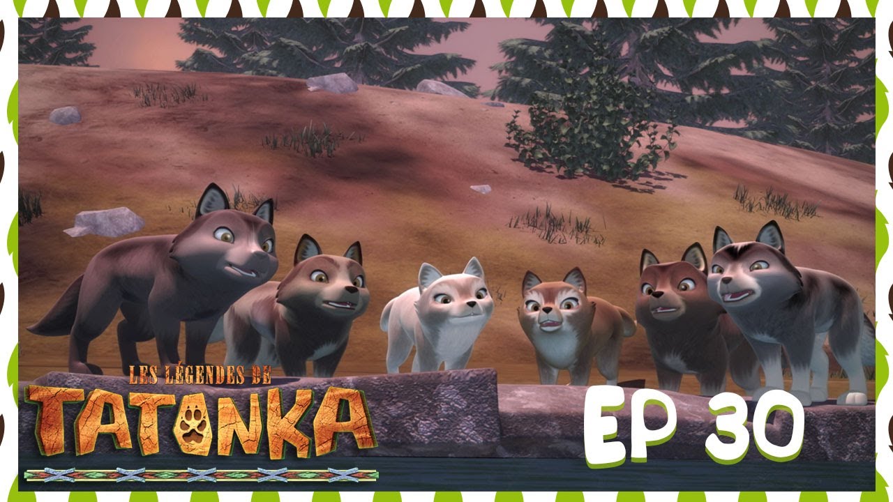 Tatonka en Français 🐺 Une leçon de chasse 🐺 Dessin animé pour enfants