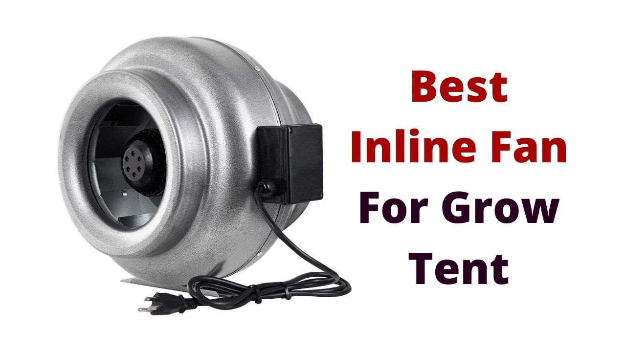 Top 5 Best Inline Fan For Grow Tent