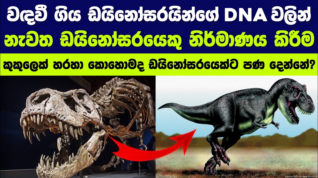 ඩයිනෝසරයින්ට නැවත පණදීම | Bringing back a dinosaur