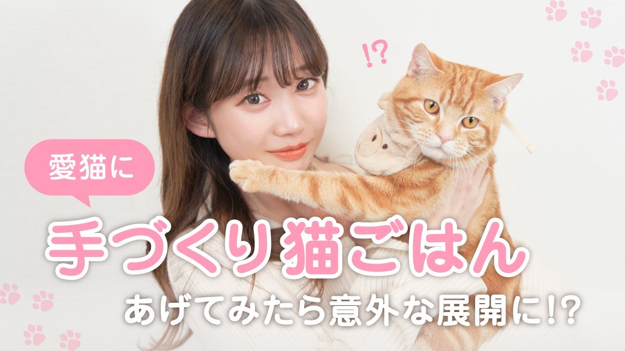 【猫の日特別企画】愛猫に手作りごはん作ってみたら意外な展開に&hellip;！