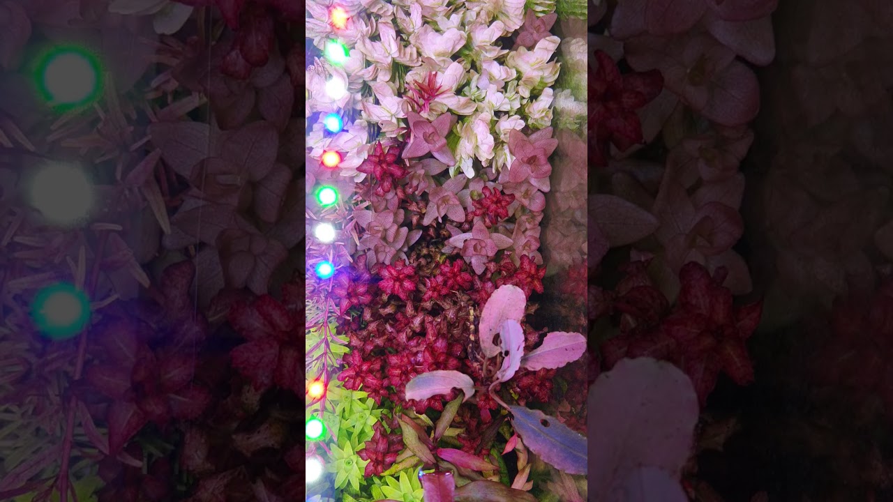 light output