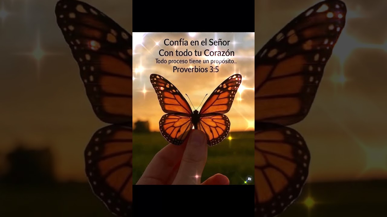 MEDITA Y REL&Aacute;JATE CON ESTA MELOD&Iacute;A