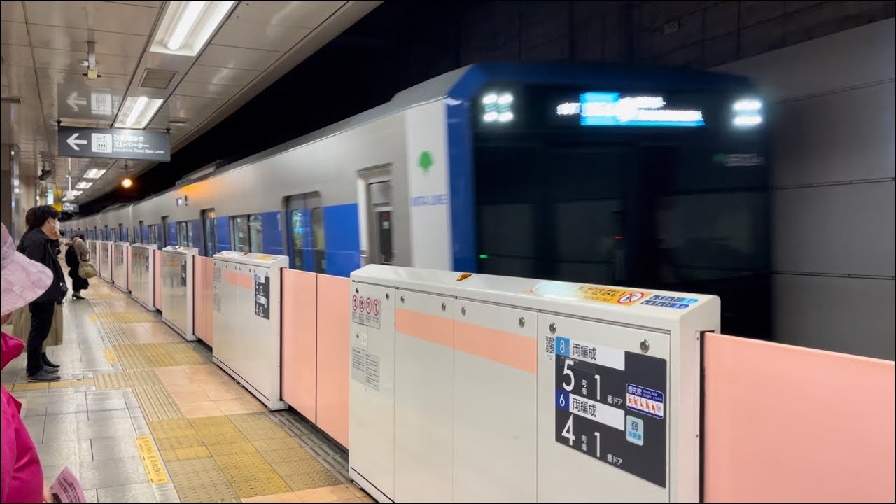 Tokyo Japan Subway Train ( Mita Line)