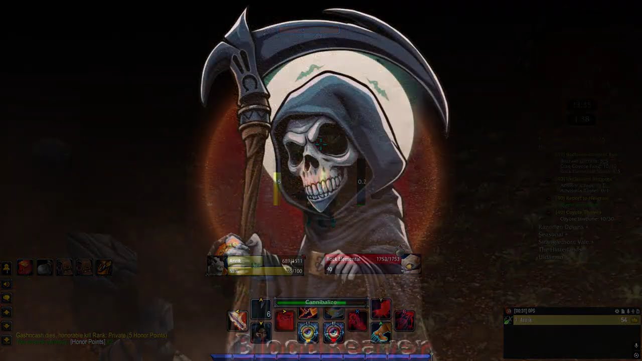 TBC Combat spec world pvp 35-40