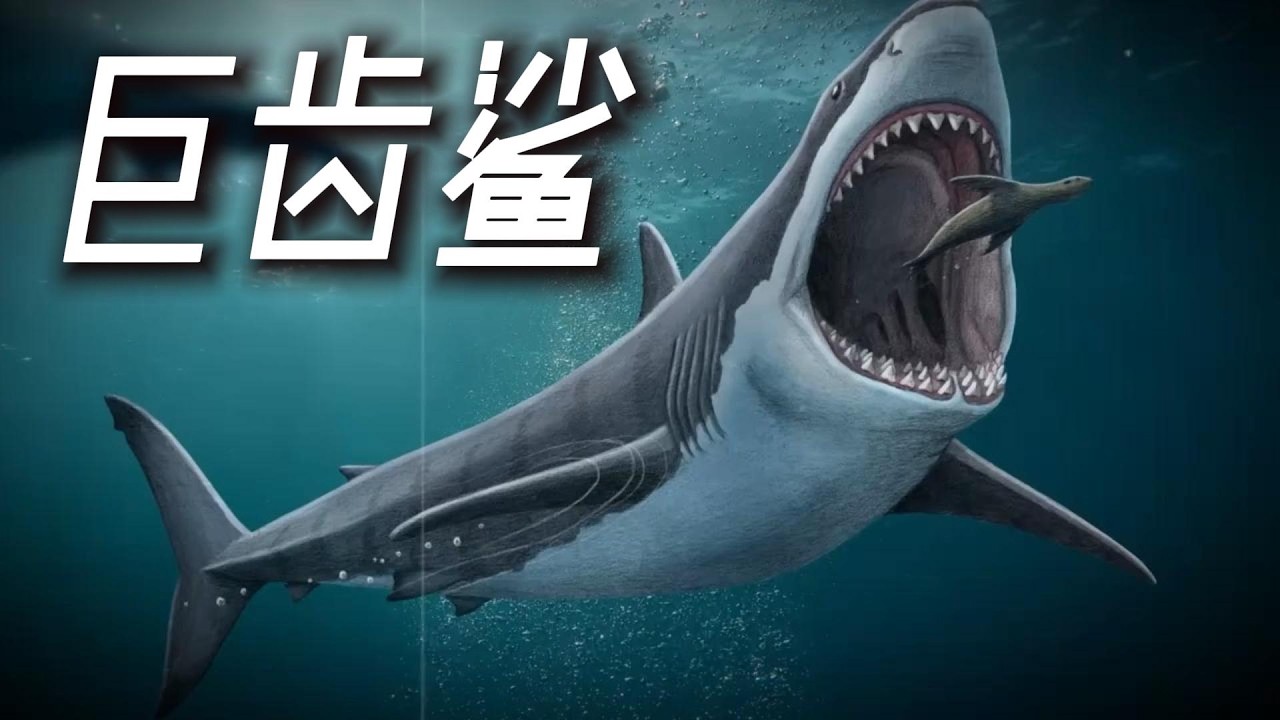 【道法自然】公認滅絕360萬年，為何會有1.1萬年前的牙齒？