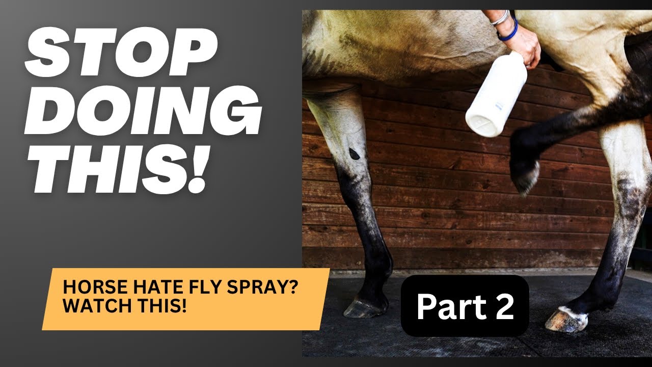 Horse Kicking when you Use Fly Spray? Part 2 #horsecare