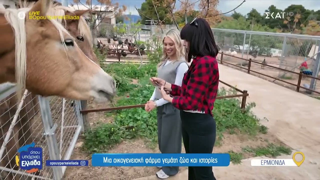 Μια οικογενειακή φάρμα γεμάτη ζώα και ιστορίες | Όπου Υπάρχει Ελλάδα | 01/05/2025