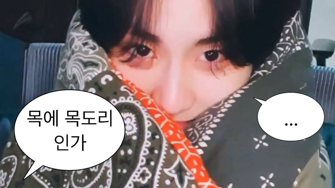 [엔하이픈/정원] 누가 봐도 목도리잖아요 (풀자막/편집)