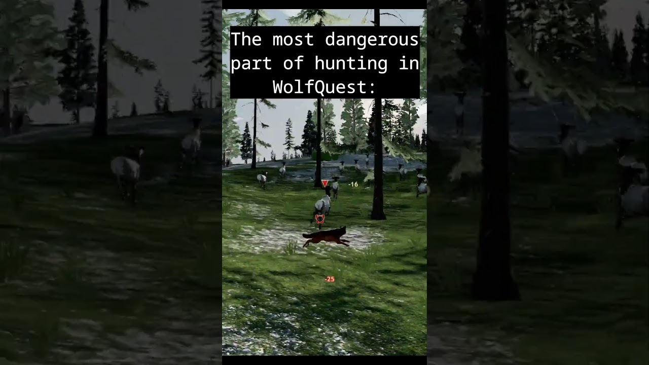 Anyways, can't wait for baby bison! #wolfquestsaga #danger #bison