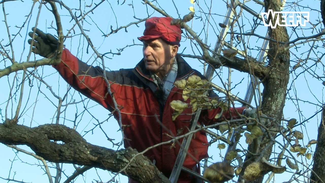 Effe Buurten - Arie Oud - deel 2