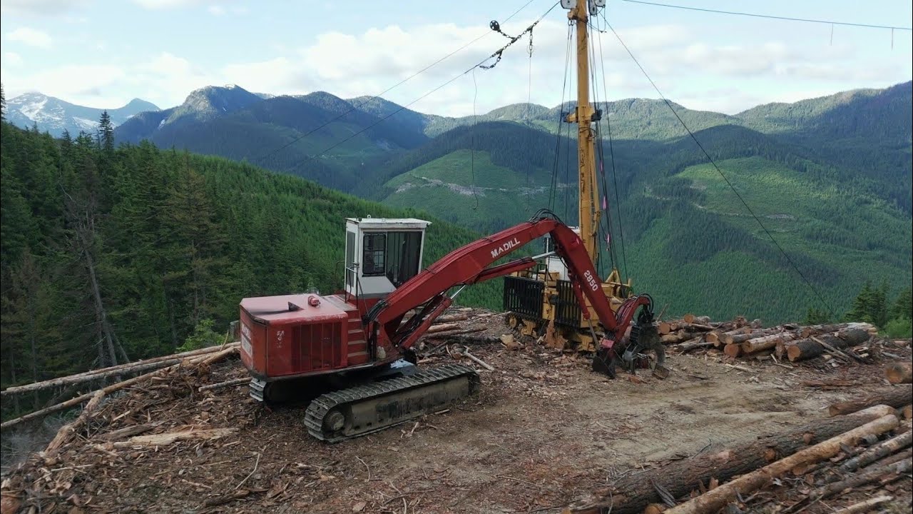 Timber Titans Unite: Rayonier and PotlatchDeltic Seal $8.2 B Mega-Merger