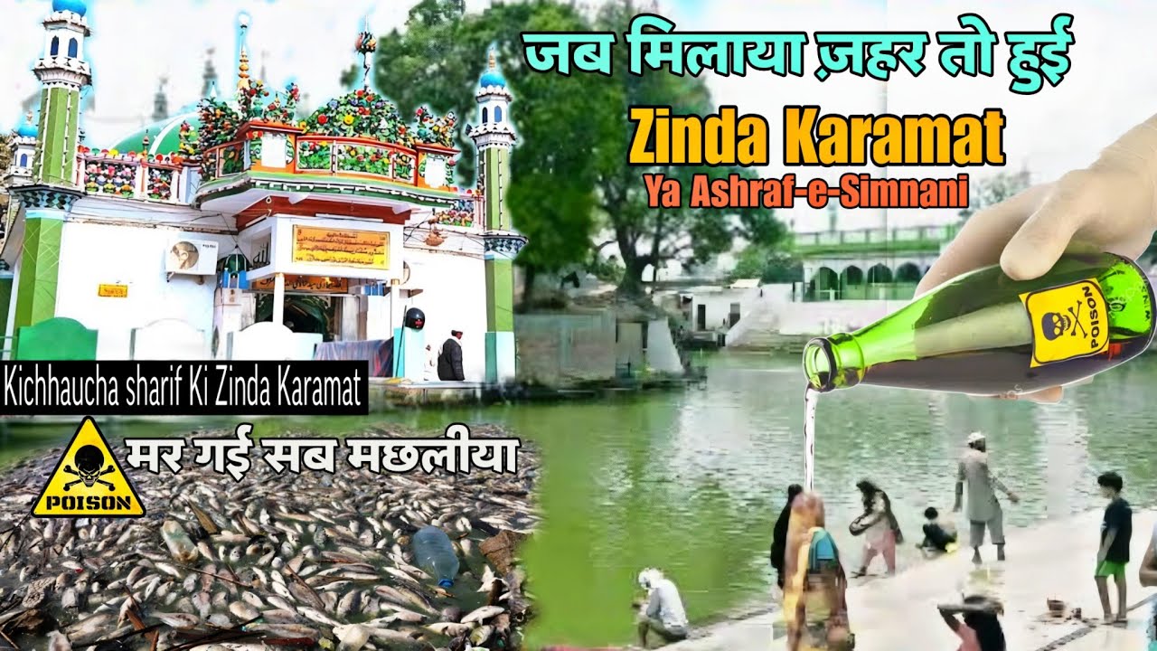 Karamat e Makhdoom Ashraf | Jheel M Milaya Zeher | Kichhaucha sharif | Fana Baqa