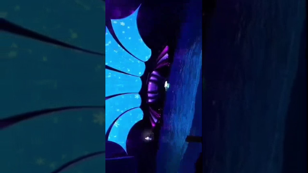 Atlanta তে Georgia Aquarium এর ভিতর বিশাল অডিটোরিয়াম এ ডলফিন SHOW দেখে মুগ্ধ হলাম 😊🙂😊🙂