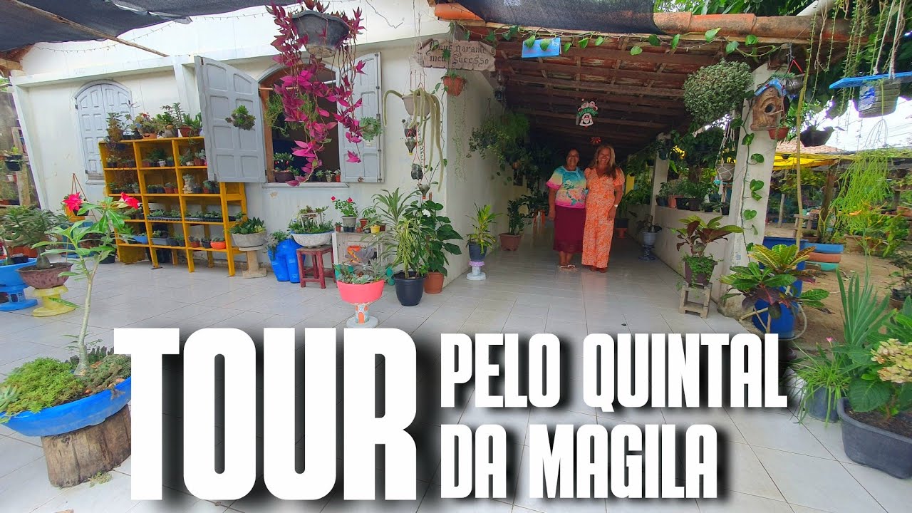 TOUR PELO QUINTAL DA MAGILA: UM QUINTAL CHEIO DE SAMAMBAIAS, SUCULENTAS, CRÓTONS, JIBOIAS... | VENDA