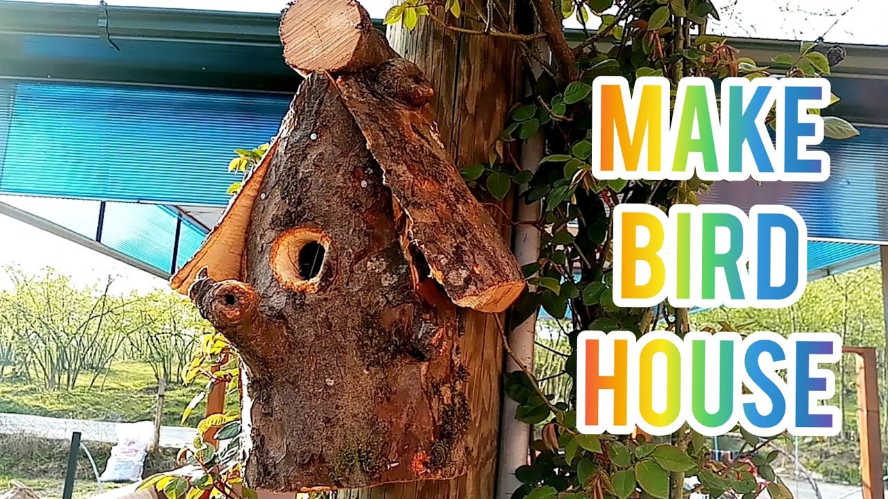 🛠️KUŞ EVİ YAPIMI🛠️/KUŞ YUVASI YAPIMI, MAKİNG A BİRD HOUSE /BİRDHOUSE