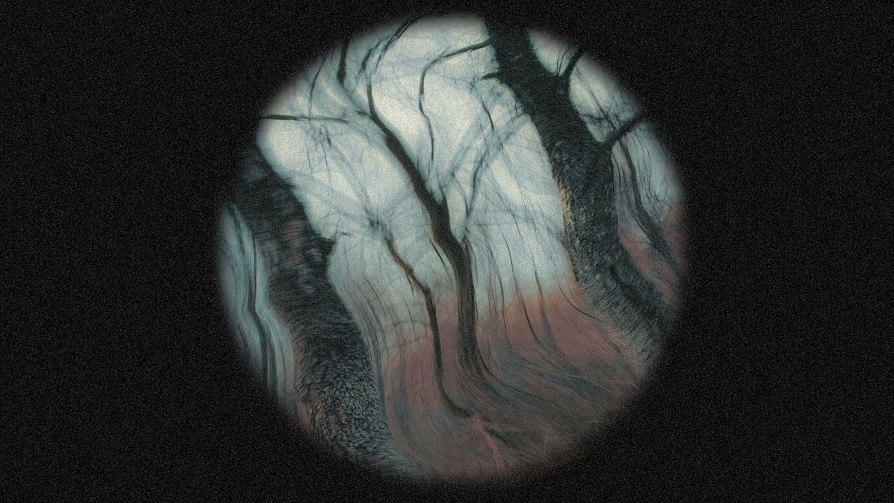Sesgado - Maximiliano Mena