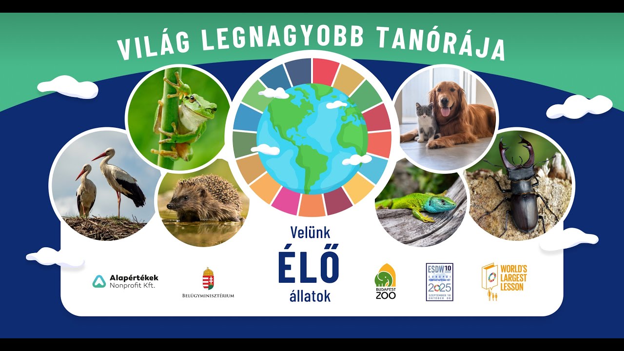 2025. évi Világ Legnagyobb Tanórája – Partneri programbörze webináriumi felvétel