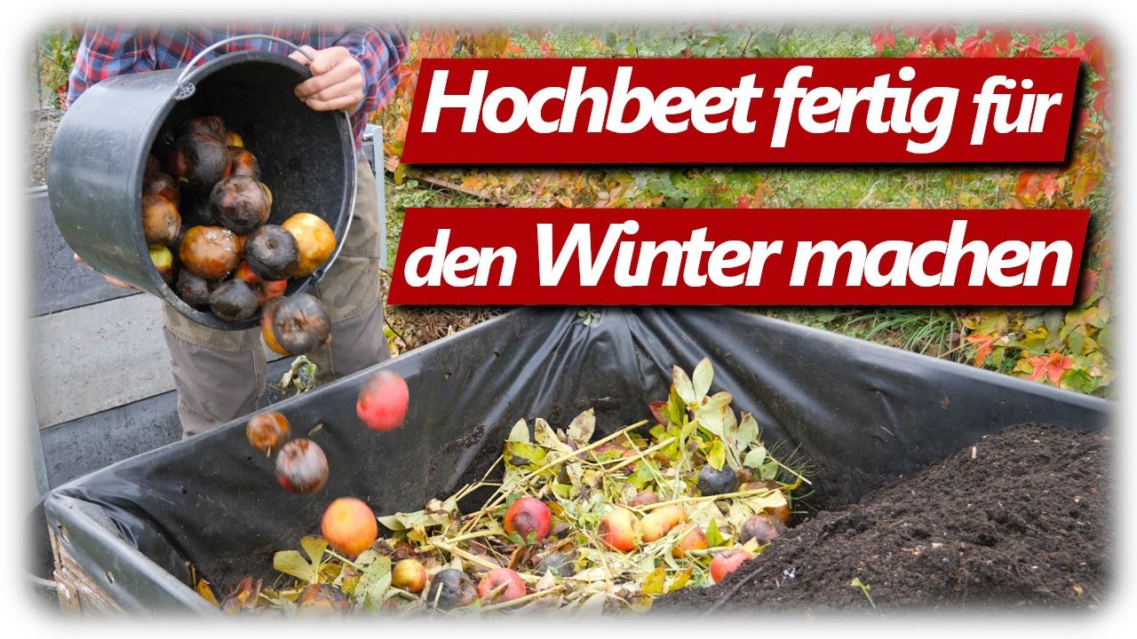 Hochbeet winterfest machen, Knoblauch erfolgreich stecken im Oktober Gemüsegarten