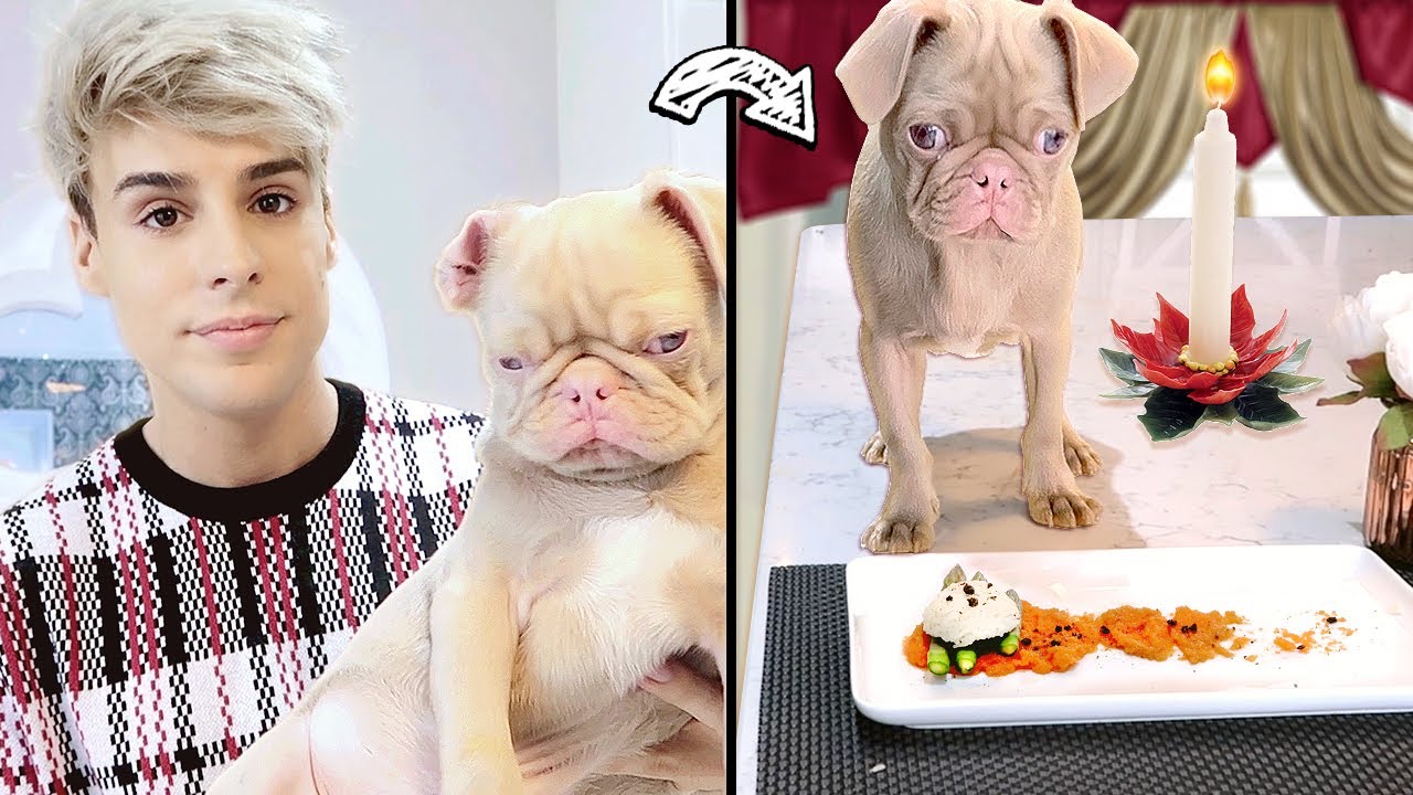 i opened a 5-STAR restaurant for my PUPPY