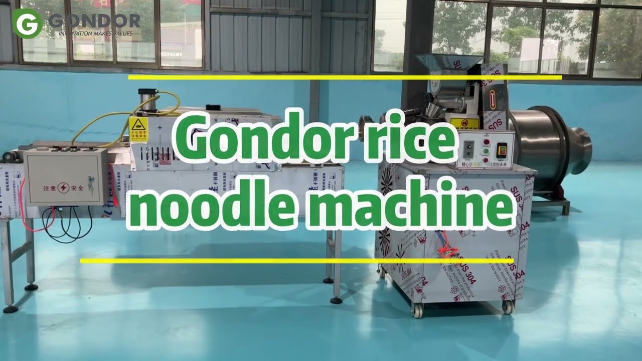 🍜Fully Automatic Rice Vermicelli Machine​​ #gondormachinery #ricevermicelli #noodlemakingmachine