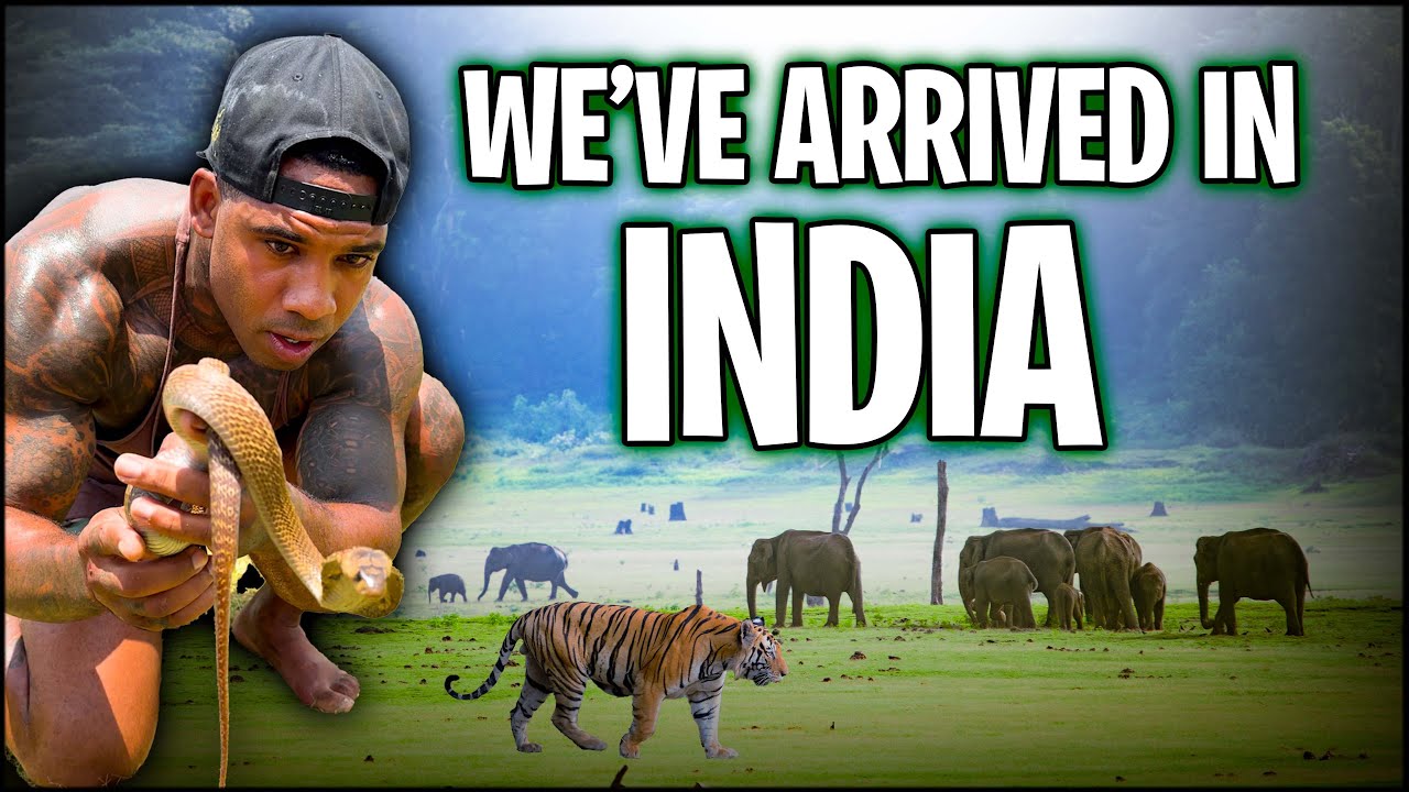 WE'VE ARRIVED IN INDIA! | THE REAL TARZANN