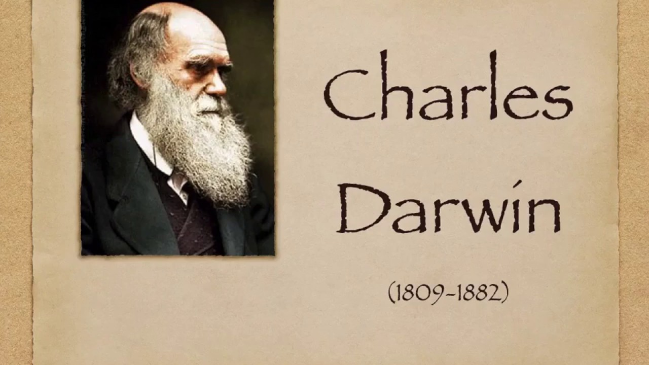 Darwin e l'evoluzionismo