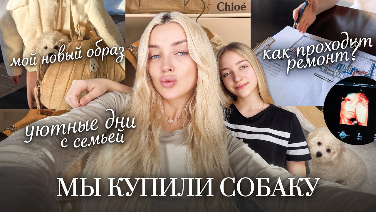 76. VLOG | Мы купили собаку и я сменила образ! Как проходит наш ремонт? Что мы купили для сына?