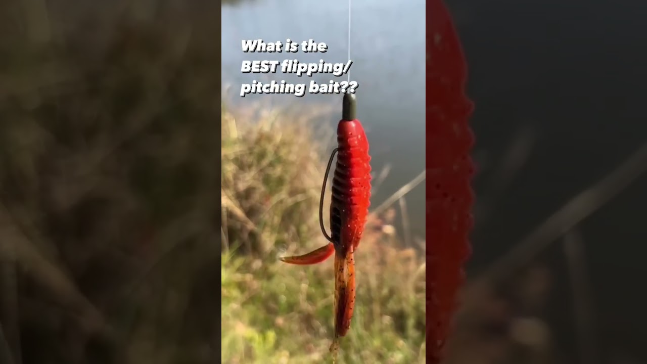 Best Flipping And Pitching Lure - Berkley Pit Boss