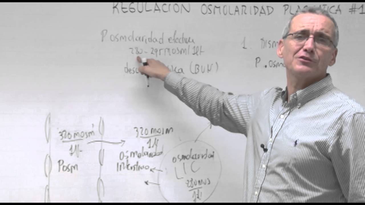 Fisiología III - Regulación Osmolaridad Plasmática 1