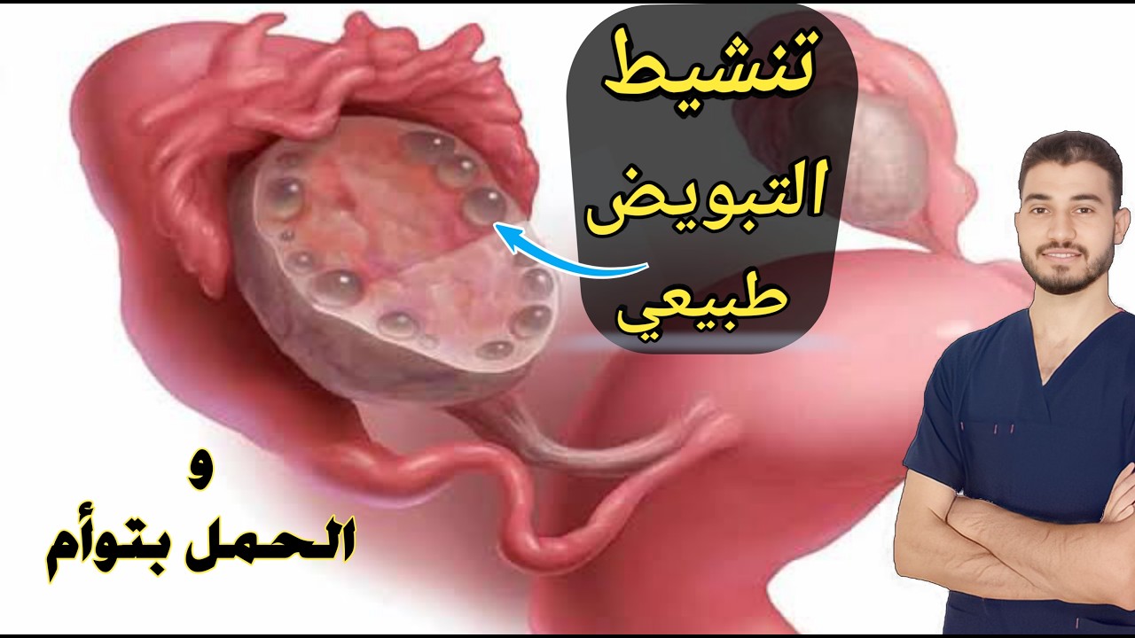 تنشيط التبويض طبيعيا | تنشيط المبايض للحمل بتوأم | دروس طبية