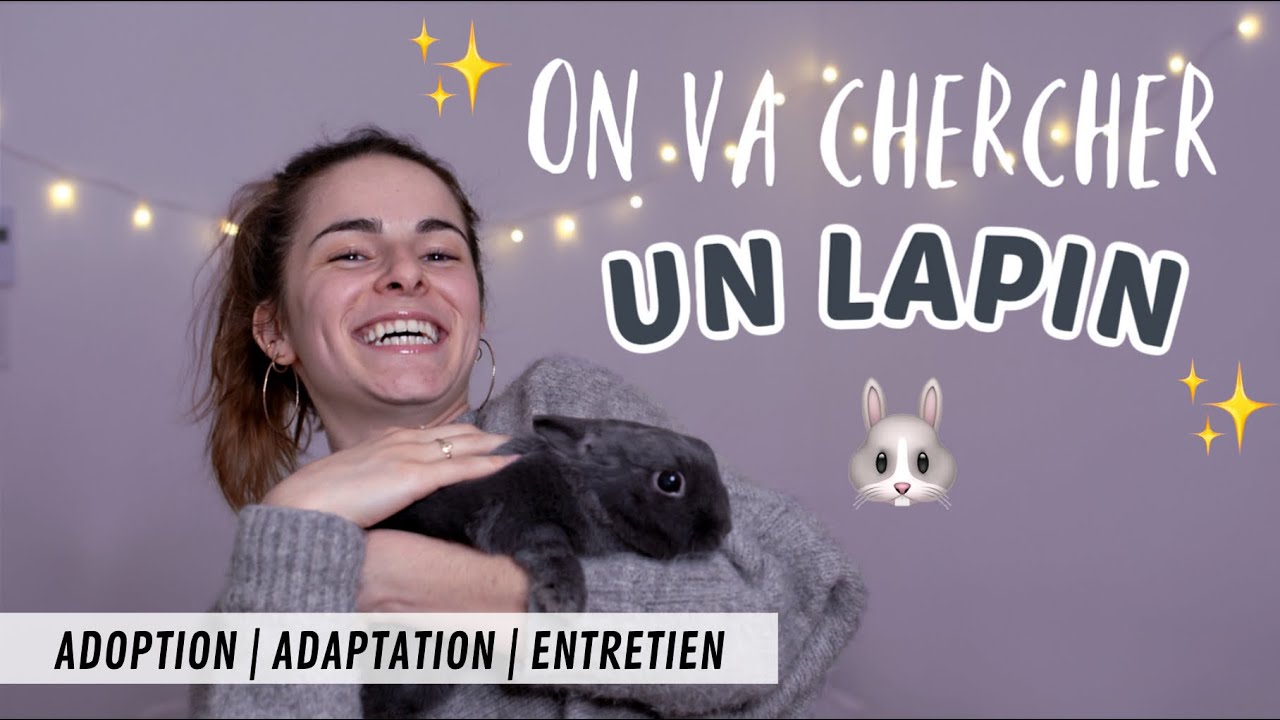 J'AI UN LAPIN!!