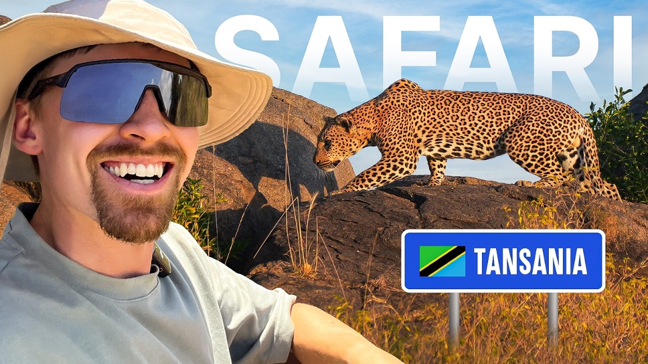 Kilimanjaro alastulo ja Safari (Serengeti & Ngorongoro)