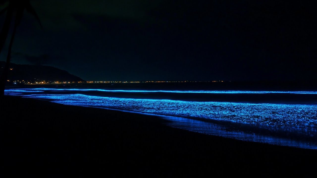 Sleep For 3 Hours Straight, High Quality Stereo Ocean Sounds Of Rolling Waves For Deep Sleeping