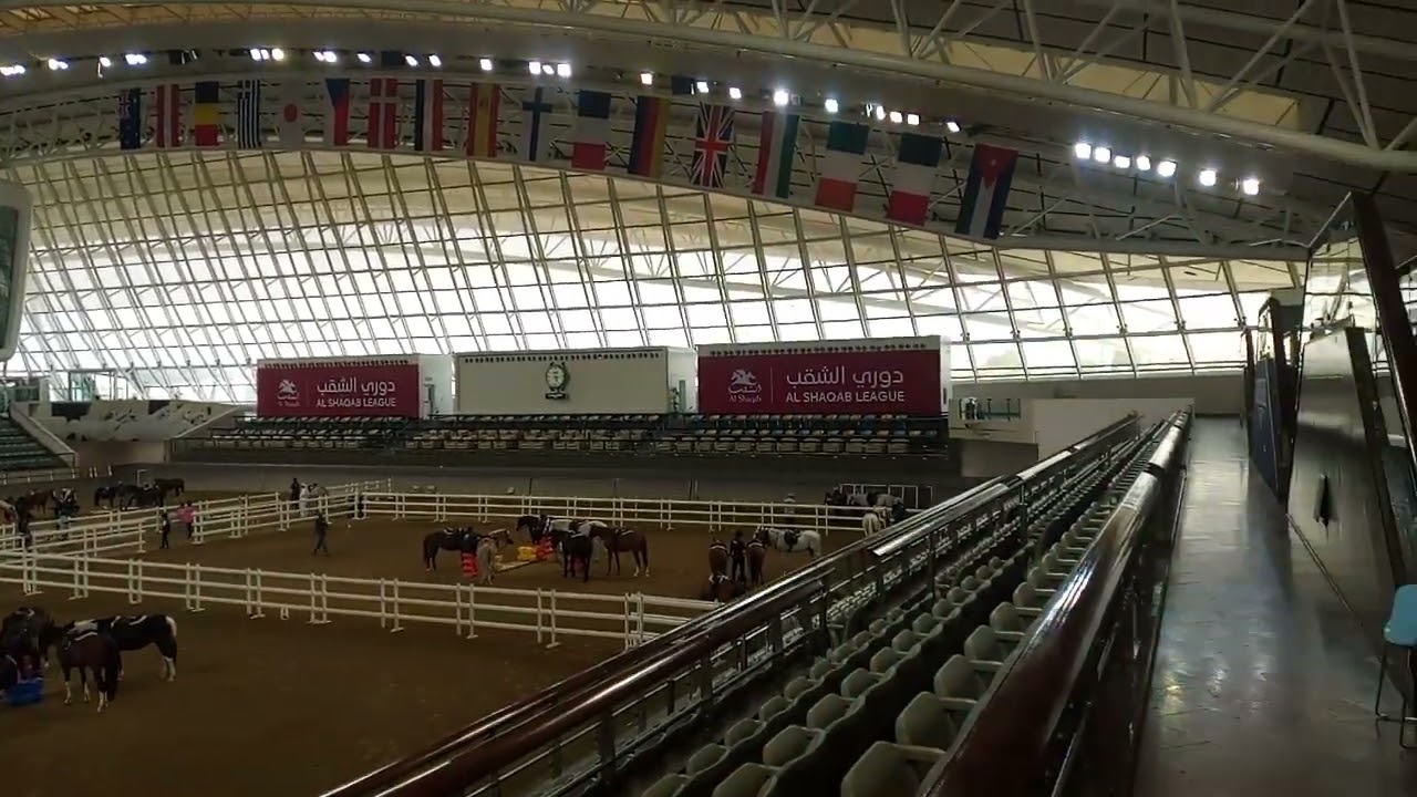 Horse 🐴 🐴 🐴 🐎 🐎 🐎 Al shaqab race 💪😱💪