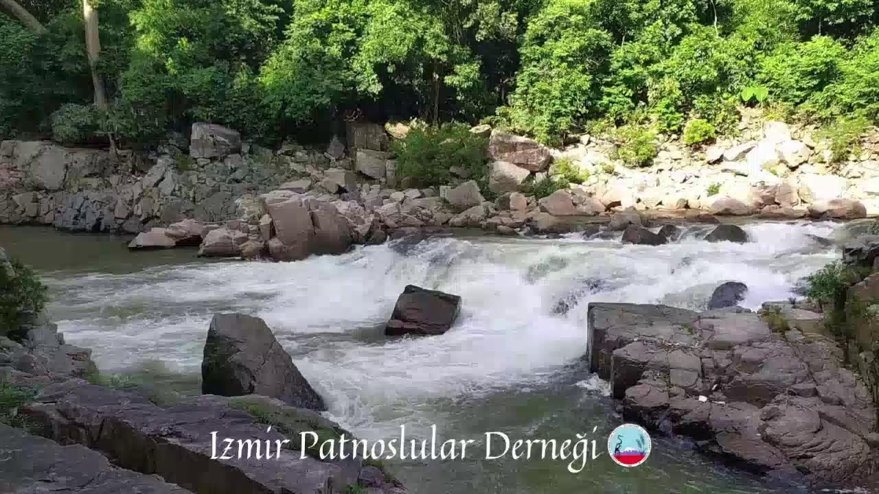 Evdalê Zeynikê
