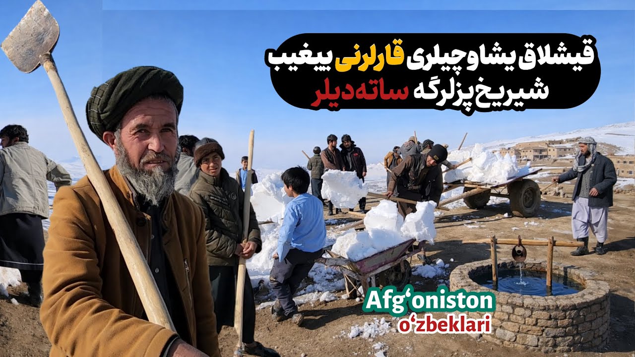 Qishloq yashovchilari qorlarni yig‘ib shirixpazlarga sotadilar