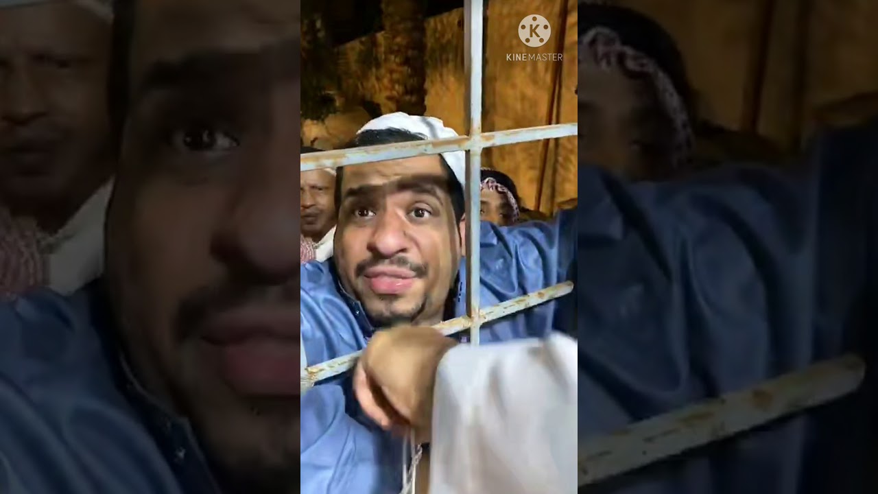 مرتضى وبوديش على زجران ، الا بطنه لا تستفزوه 😂😂