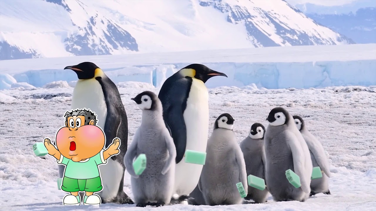 ガリガリ君リッチ「チョコミント篇」（15秒）