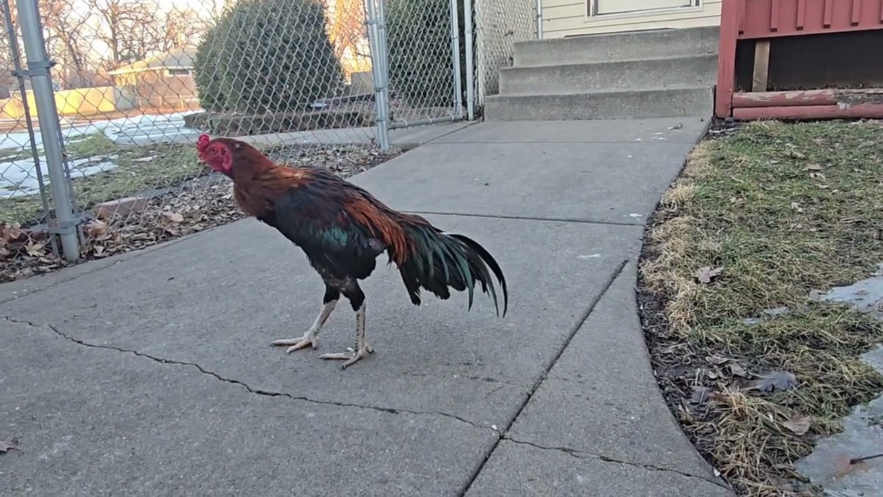 Let them walk outside & stretches 