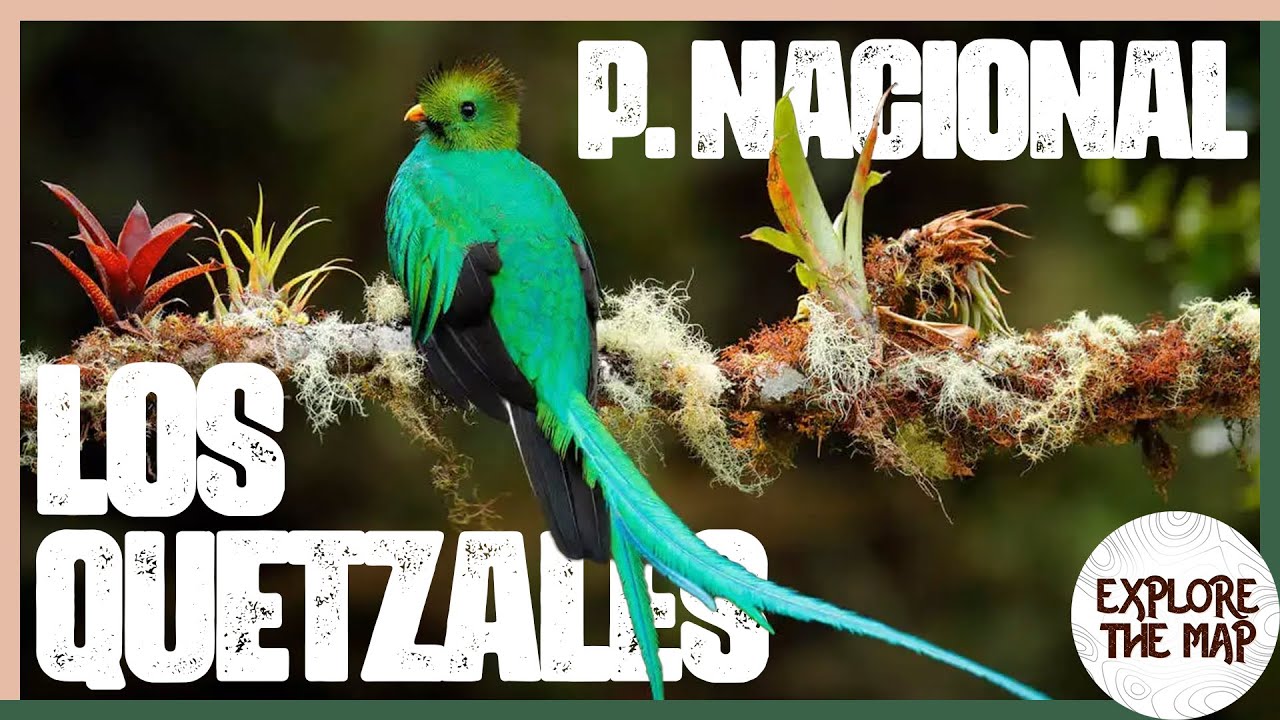 Parque Nacional Los Quetzales ¿Vale la pena?