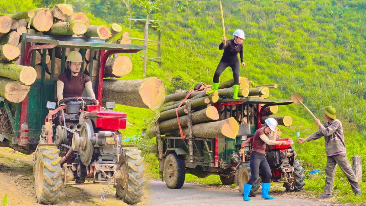 An agricultural vehicle transporting 15 tons of wood is extremely dangerous; the man is dangerous. 