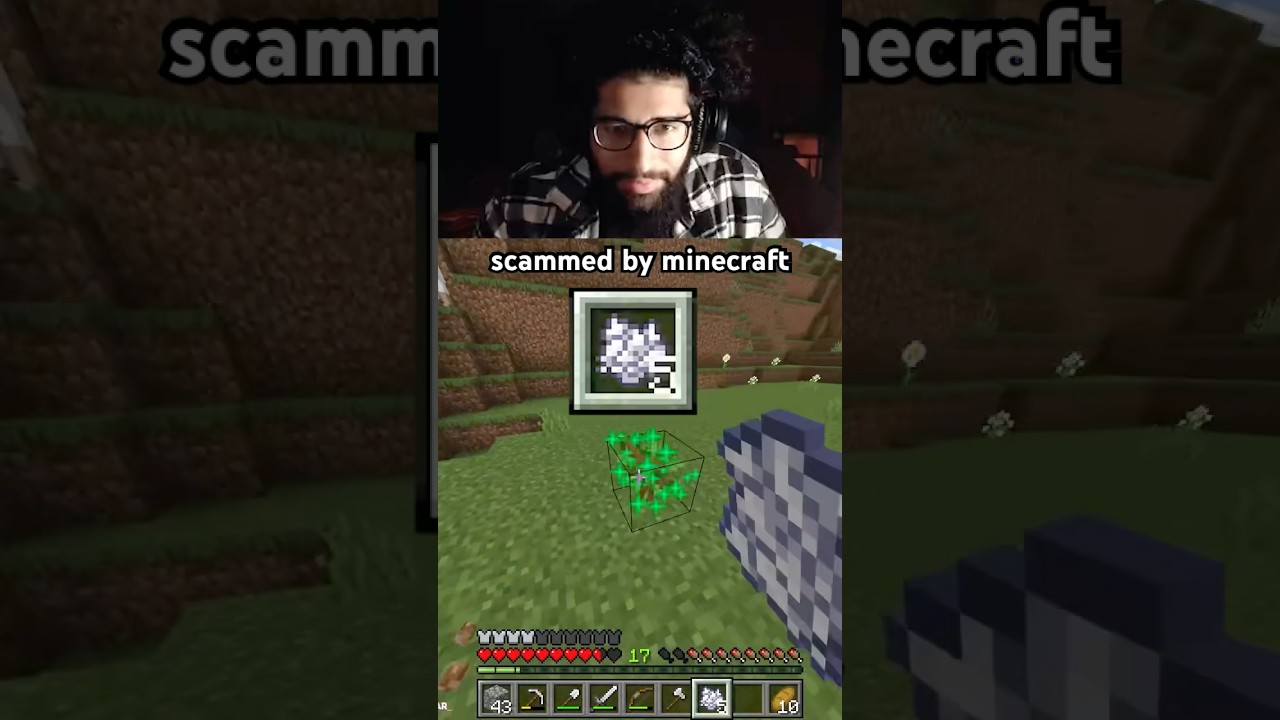 SCAMMED By Minecraft